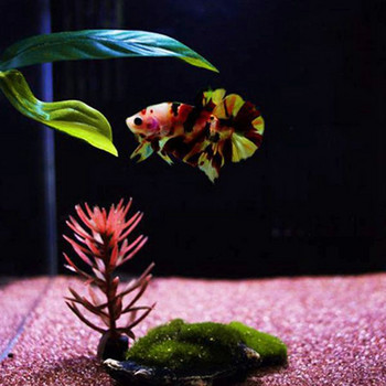 Beta Fish Hammock Plant Leaf Mat Fish Spreading Breeding Reseting κρεβάτι