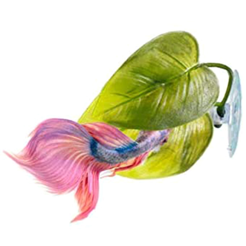 Beta Fish Hammock Plant Leaf Mat kalade levitamine Aretus Puhkepeenar