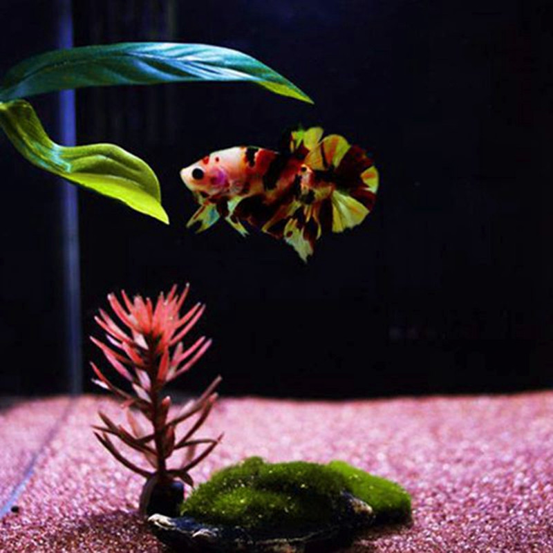 Beta Fish Hammock Plant Leaf Mat kalade levitamine Aretus Puhkepeenar