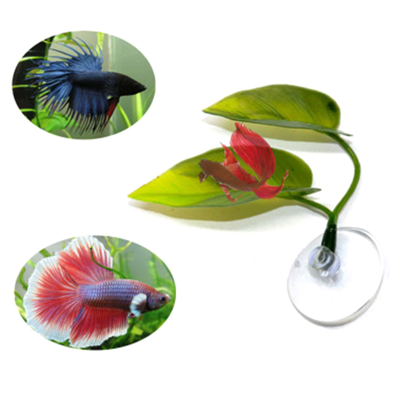 Beta Fish Hammock Plant Leaf Mat kalade levitamine Aretus Puhkepeenar