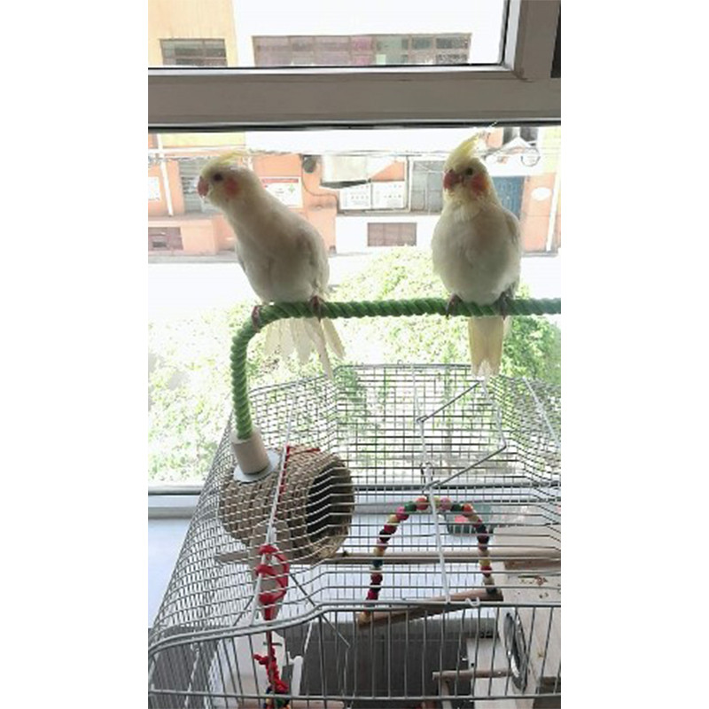 Bird Bite Toy παπαγάλος που στέκεται υφαντό σχοινί Παιχνίδι πουλί μασώμενο παιχνίδι εύκαμπτο κατοικίδιο παπαγάλος όρθιοι για παπαγάλο