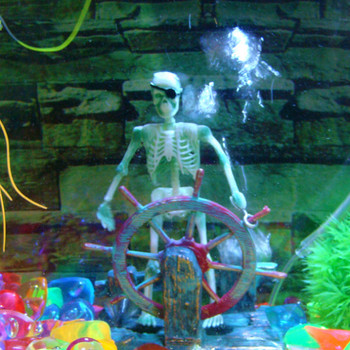 1 τεμάχιο Hot Aquarium Decoration Skeleton on Wheel DIY Decorment Tank Fish Decor for Aquarium Tank W75 Great Gif Skeleton Captain