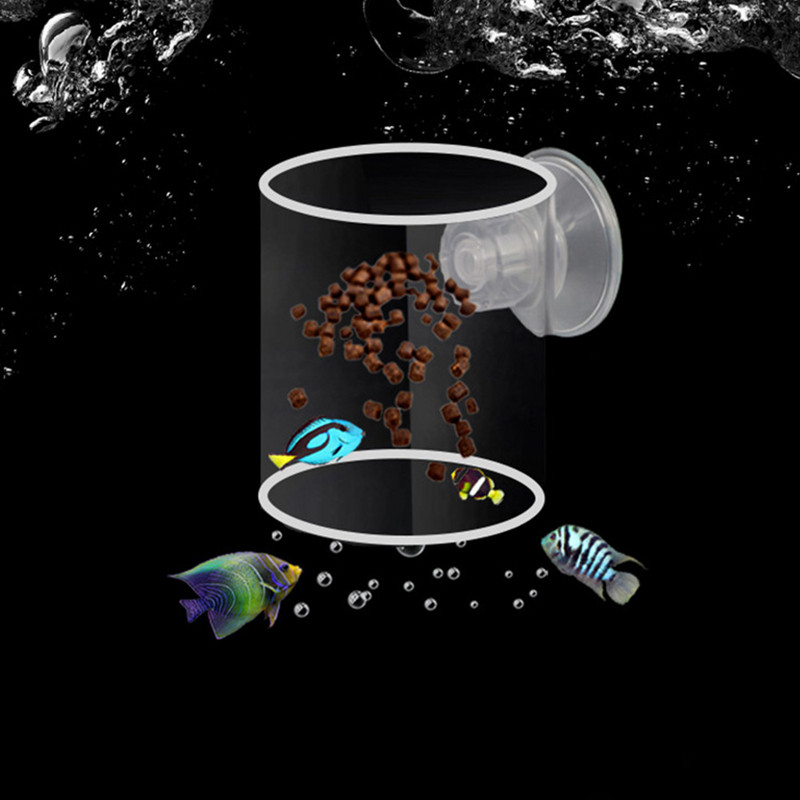 Iseujuv fikseeritud punktiga söötja ümmargune ruut akvaariumi söötmisringi karpkala tiku söötjatele