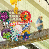Παιχνίδι Safe Parrot Swing Πολύχρωμα Παιχνίδια με πεντάκτινα αστέρια πολύχρωμα παιχνίδια κλουβιού Παιχνίδια μασήματος κούνιας πουλιών