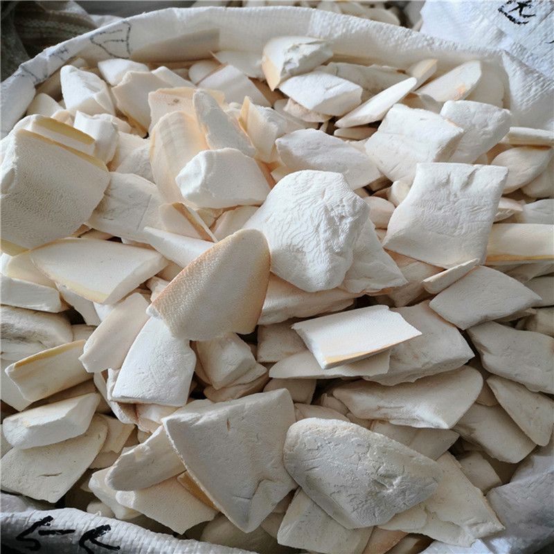 Sēpiju kauli Mājdzīvnieks Papagailis Asaris Kāmis Piekārts Zvaniņš Kalcija uztura bagātinātāji Zobsiksnas Košļājamās Rotaļlietas Putnu Barība Papagailis Cockatiel Būris