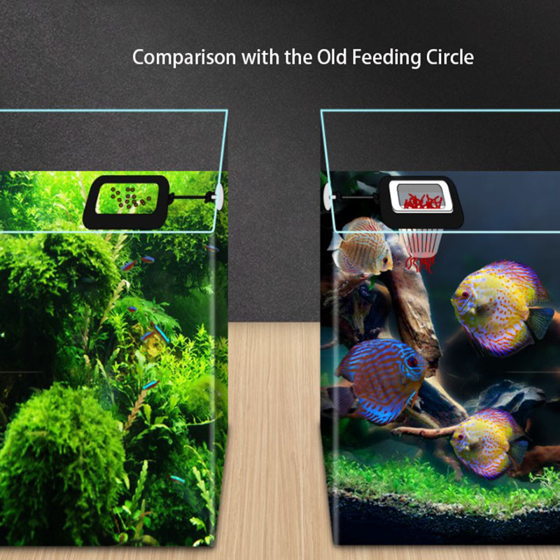 1 tk plastikust sööturikomplekt koos iminapaga akvaariumi punase ussi söötmiseks akvaariumi koonuse jaoks.