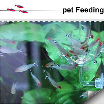 Ακρυλική τροφοδοσία δεξαμενής ψαριών Ενυδρείο γαρίδας τροφοδοσίας μπολ Σχήμα λουλουδιών Πλωτή θήκη τροφοδοσίας με Sucker Fish Food Aquarium