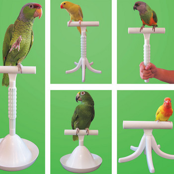 CAITEC Parrot Stand Bird Toys Φορητό εργαλείο πέρκας και εκπαίδευσης Ελαφρύ Βάση πουλιών Ασφαλές ανθεκτικό εργαλείο για παπαγάλους όλων των μεγεθών