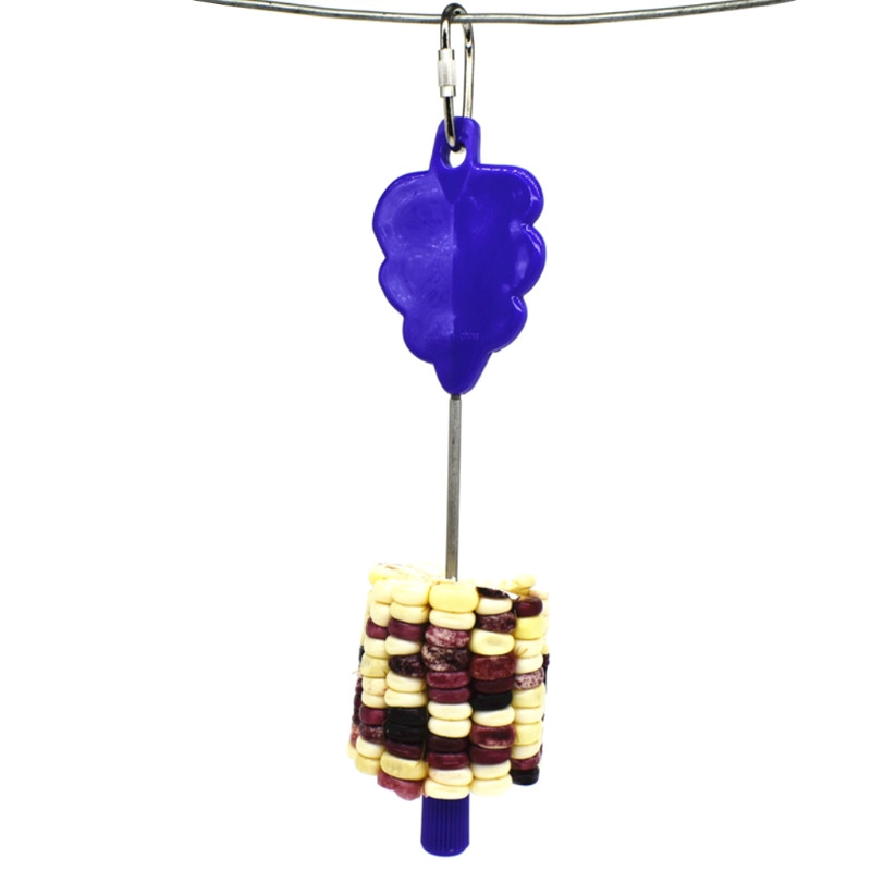 Από ανοξείδωτο ατσάλι, βάση για κρέας, ραβδί φρούτων, σουβλάκι, πουλάκι, αξεσουάρ παιχνιδιών κλουβιού παπαγάλου