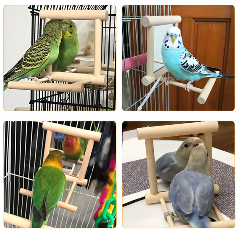 Linnupeegel ahvenaga Lindude ahvena peegli mänguasi