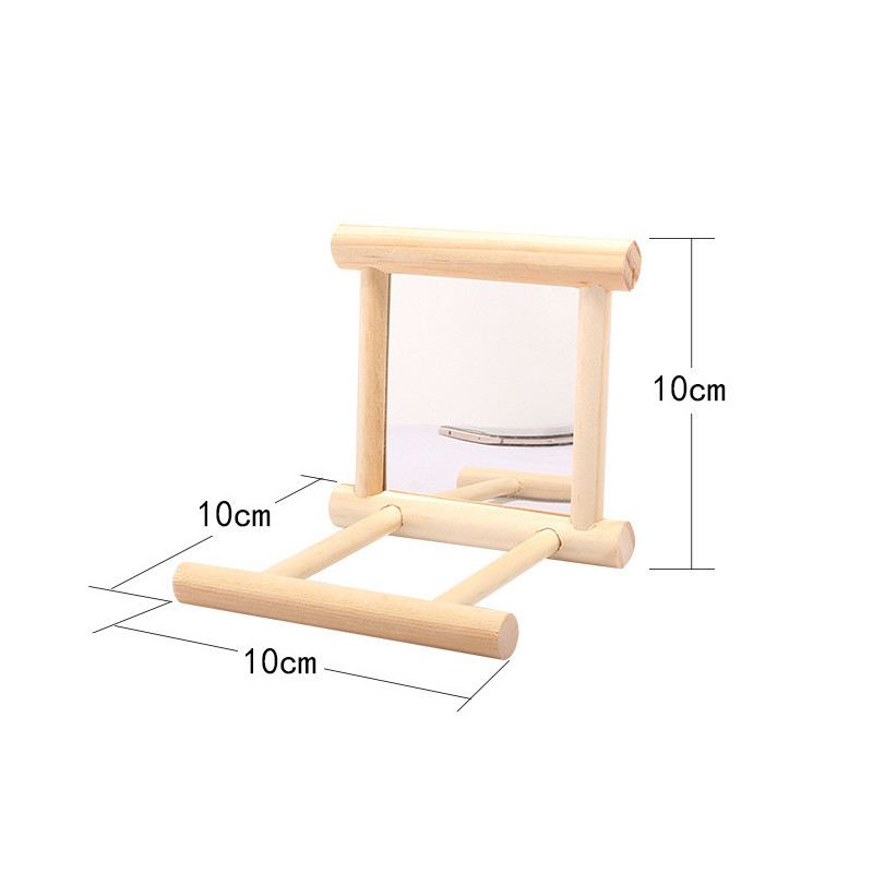 Linnupeegel ahvenaga Lindude ahvena peegli mänguasi