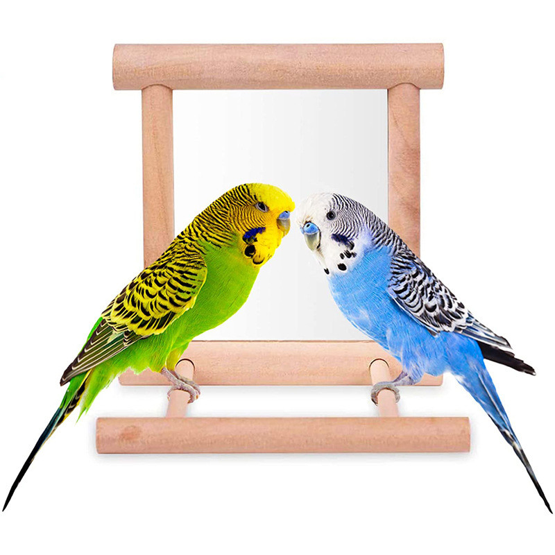 Linnupeegel ahvenaga Lindude ahvena peegli mänguasi