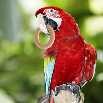 10 τεμ. Pet Bird Parrot Intelligence Toys Φυσικό Ξύλινο Δαχτυλίδι Παπαγάλος Εκπαιδευτικό Παιχνίδι Chew Bite Toys For Budgies Parakeet Growth Toy