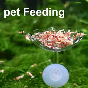 Fish Tank Feeder Aquarium Shrimp Acrylic Feeding Bowl Σχήμα λουλουδιών Πλωτή θήκη τροφοδοσίας με Sucker Fish Food Aquarium