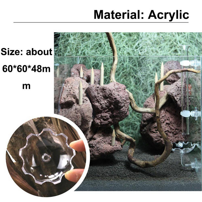 Hranilica za akvarijske škampe Akrilna zdjela za hranjenje Oblik cvijeta Plutajući držač čaše za hranjenje s usisivačem Akvarij za hranu za ribe