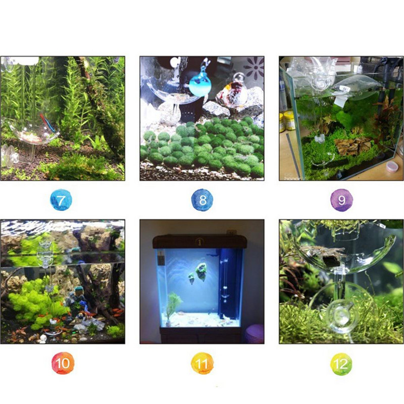 Hranilica za akvarijske škampe Akrilna zdjela za hranjenje Oblik cvijeta Plutajući držač čaše za hranjenje s usisivačem Akvarij za hranu za ribe