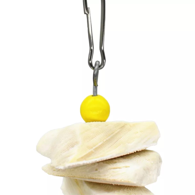 Sēpiju kaulu putnu rotaļlietas papagaiļiem, sēpijām un sēpijām mājdzīvniekiem asari papagailis kaktis būra dekorēšanai, papagaiļu rotaļlietas