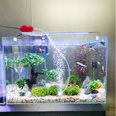 Akvaariumi hapnikupump kalapaak vaikne õhukompressor aeraator kaasaskantav miniaeraator akvaariumi tarvikud 2,5W / 3W