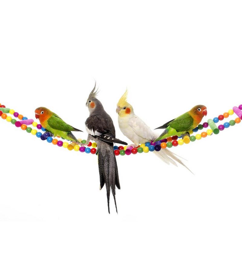 Polica za ljuljanje kaveza za papige Ara Igračke za ptice za kućne ljubimce Igračke za ptice za kućne ljubimce Šarene drvene lopte, ljestve za penjanje Dodatak za igračke za papige, ptice