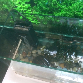 Resun CX-100 CX-200 Fountain Style Aquarium Turtle Lizard Fish Tank Εσωτερικό φίλτρο χαμηλού νερού