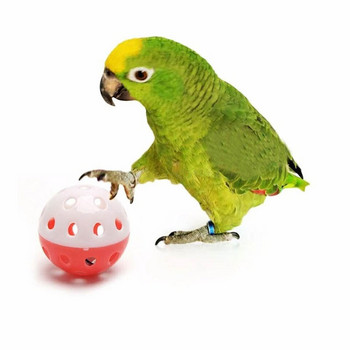 10 бр Parrot Toy Balls Забавни цветни кухи звънчета топка Звукова играчка птица Обучение на папагал Интерактивни играчки за дъвчене Принадлежности за домашни птици