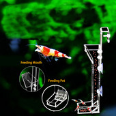 Hrănitor de creveți pentru acvariu din acril Hrănitor pentru rezervor de pește Tub de hrănire Cupă pentru creveți Dispenser pentru hrană pentru pește melc Recipient Accesorii pentru acvariu