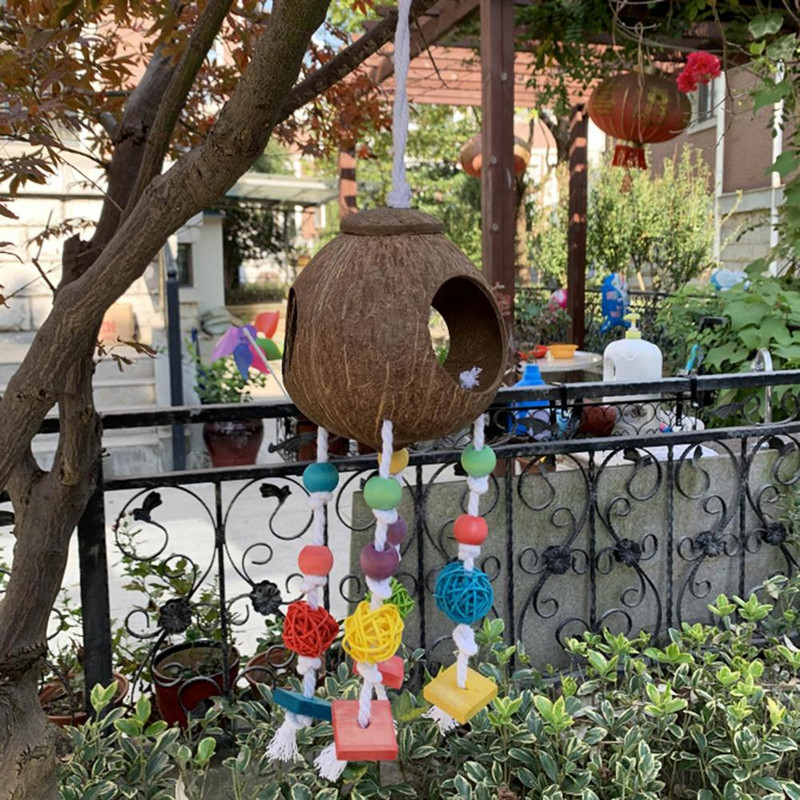 Kauakestev lindude mänguasi Peen hammustuskindel pilkupüüdev rippuv puuvillane nöör Kolmesuunaline palliga lemmiklooma papagoi hammustusmänguasi