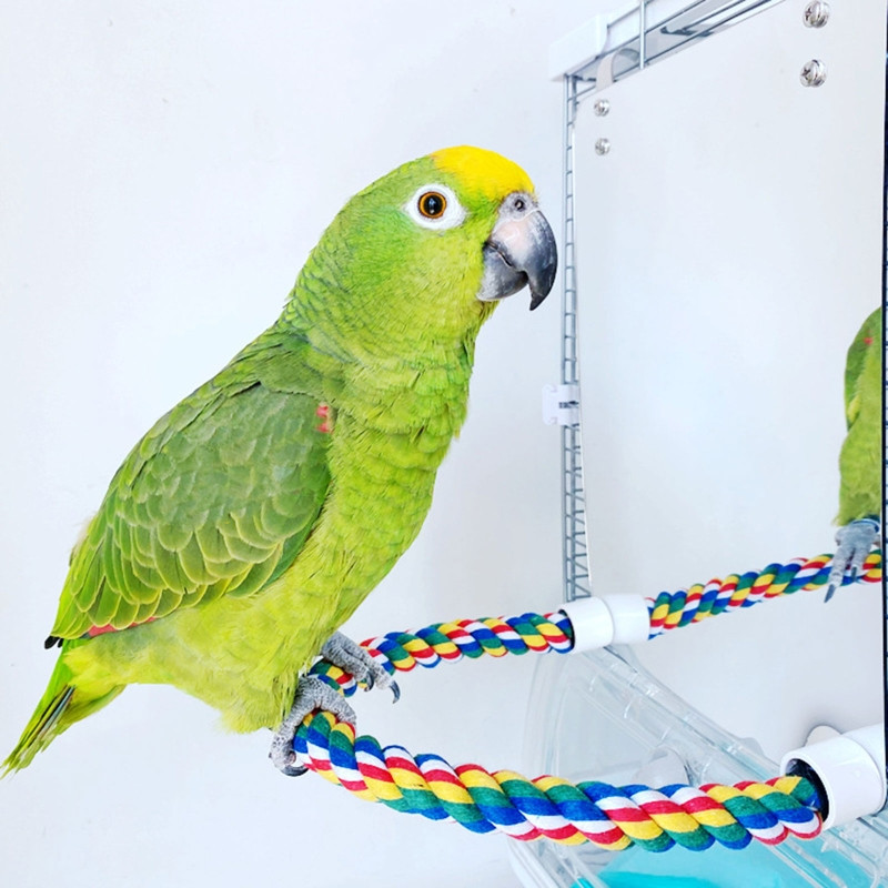 Parrot Toy Acrylic Bird Mirror with Rope Perches Toys Bird Swing Comfy Perch for Parakeet Cockatiel Conure Lovebirds Canaries