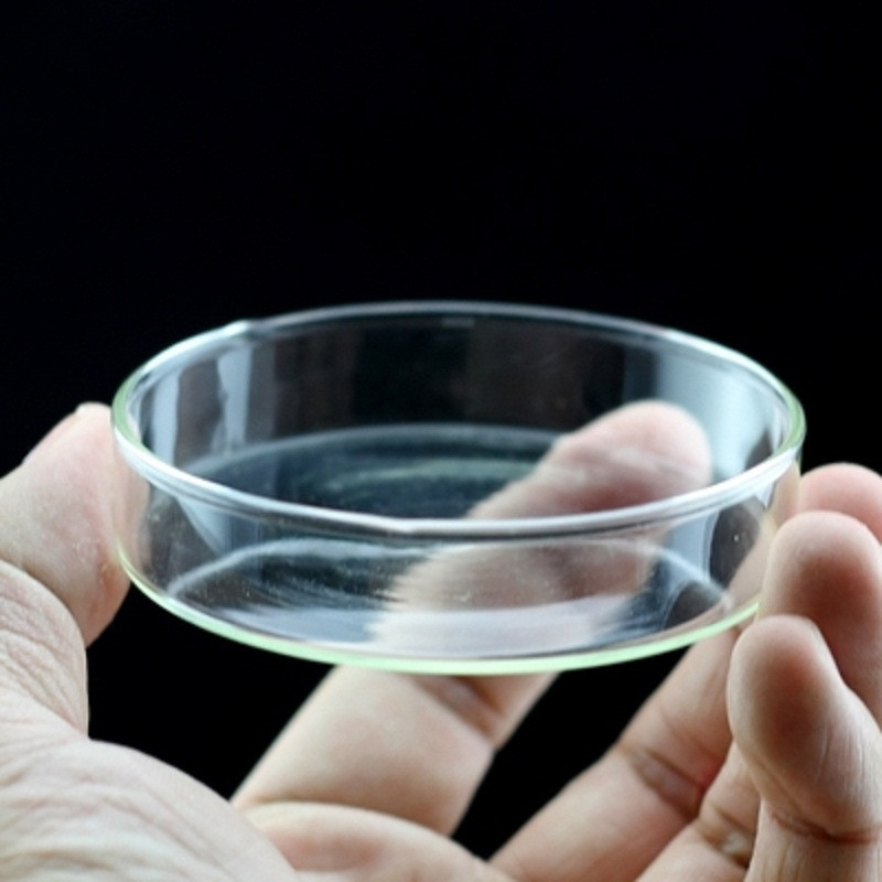 Гореща разпродажба Кръгла аквариумна хранилка за скариди Купа за хранене Купа за аквариум Кристална червена скарида Охлюв Контейнер за ястие с храна за риба