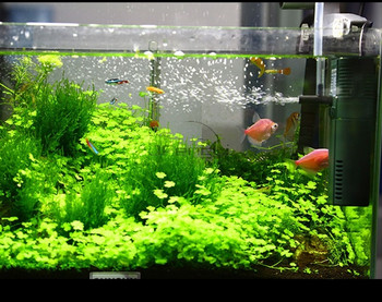 SUNSUN Вътрешен филтър Mini HJ111B HJ311 Водопад Потопяема кислородна водна помпа за риба костенурка Аксесоари за растения Аксесоари за аквариум