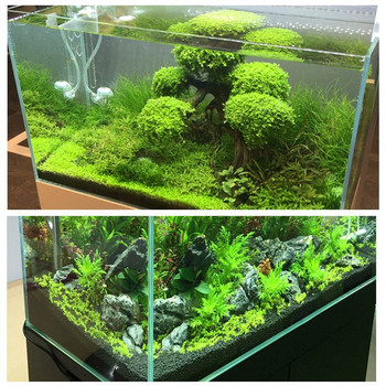 100g Anubias Aquarium Plant Seed Soil Aquarium Planted Substrate Sand, Soil Fertilizer Mud for Fish Tank Plants Care Γλυκό νερό