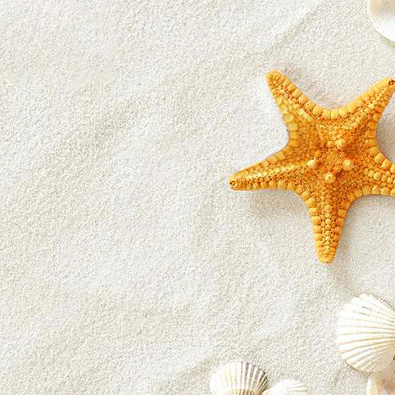 5iepakojumi 80g Balto smilšu daudzfunkcionāls akvārija smilšu rotājums zivju tvertņu mājas dārza vāzei