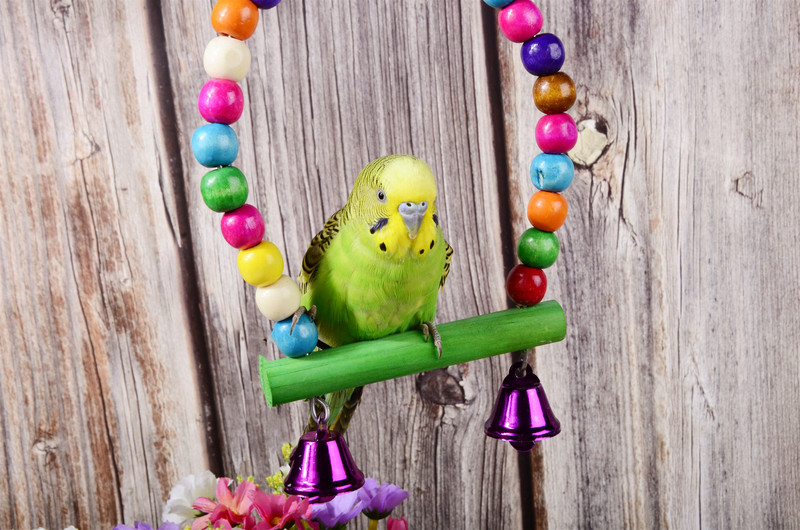 Jucărie cu suport pentru papagali, mic și mediu, leagăn din lemn natural, leagăn colorat, cu margele colorate, suport pentru cușcă pentru păsări, provizii pentru păsări