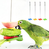 Parrot Fruit Fork Feeding Birds Hang Cage από ανοξείδωτο ατσάλι Σουβλάκι παπαγάλος 2 μεγέθη Drop Ship