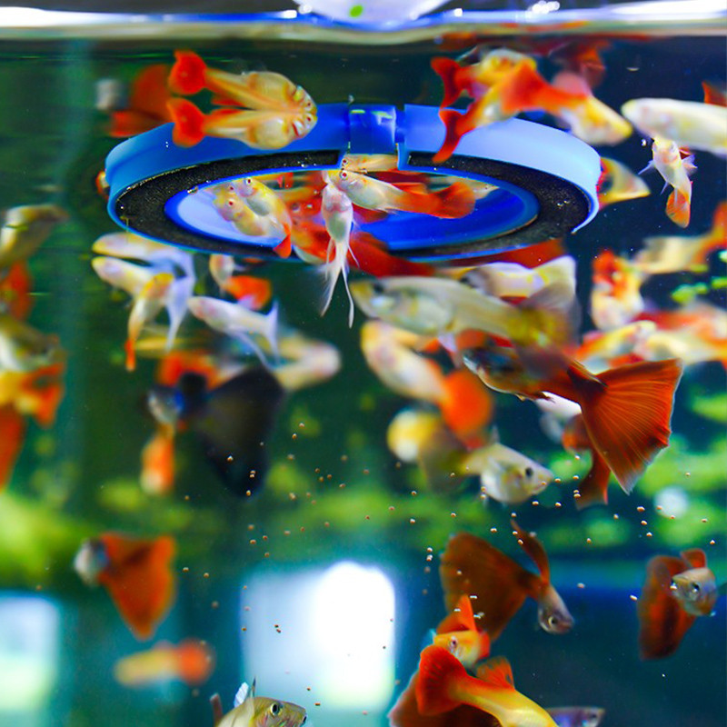 UUS akvaariumi söötmisrõngas kalamahutijaam Ujuv toidualus Söötja Ruudukujuline ümmargune tarvik Kalatoidusööturi imikork must