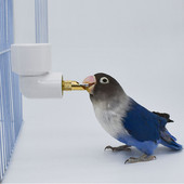 Băutor de papagali din plastic, dozator de sticle de apă, hrănitor, agățat pentru animale de companie, cobai, veveriță, iepure, cap de băut, fântână