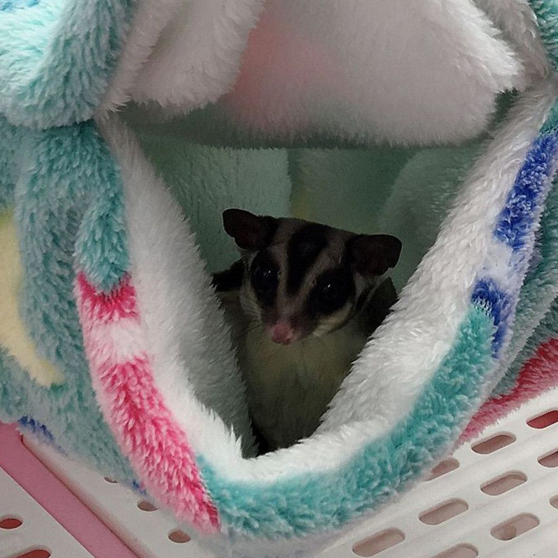 Hamac pentru animale de companie agățat de pluș cald Paturi veverițe dihor sac de dormit pentru animale de companie șobolan hamster cușcă moda animale de companie