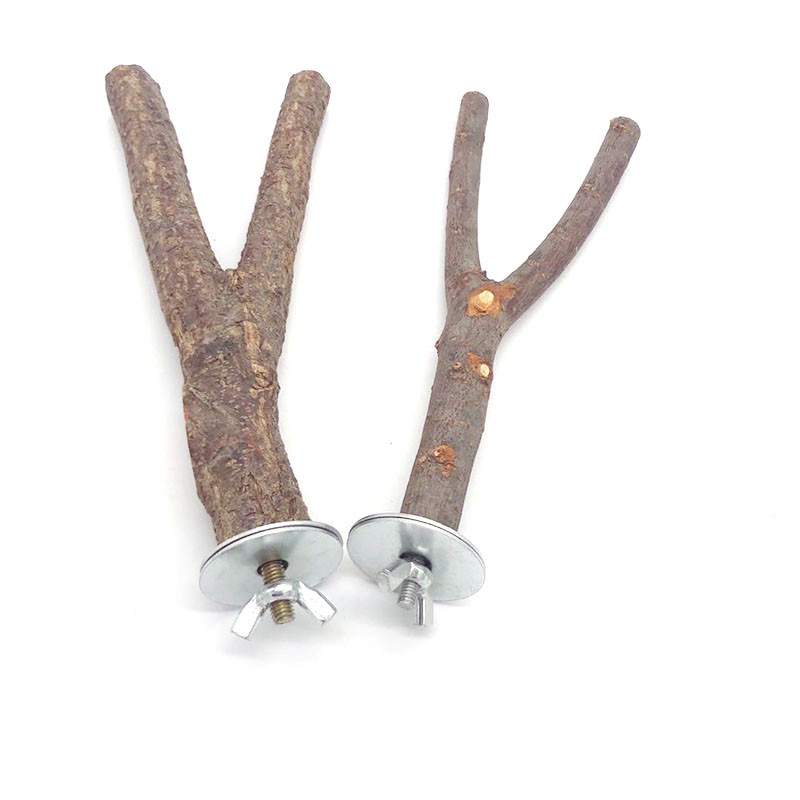 Natūralaus medžio naminių gyvūnėlių papūga žaliavinės medienos šakutės medžio šakelės stovas Voverės paukščio žiurkėno šakelė Ešeriai kramtyti kąsnio žaislai