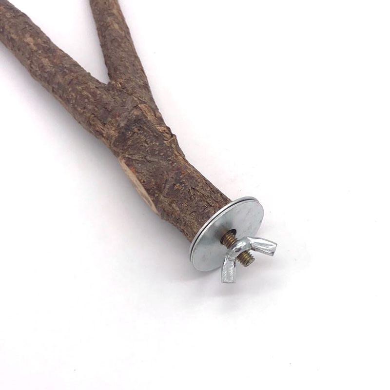 Natūralaus medžio naminių gyvūnėlių papūga žaliavinės medienos šakutės medžio šakelės stovas Voverės paukščio žiurkėno šakelė Ešeriai kramtyti kąsnio žaislai