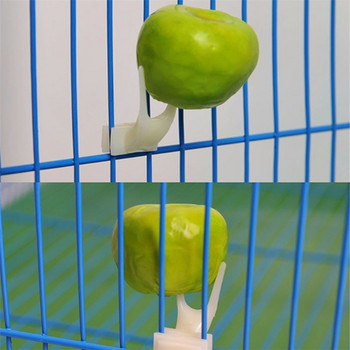 Pet Parrots Birds Βάση τροφής από ανοξείδωτο ατσάλι Φρούτα Spear Stick Κρέας Φρούτα Λαχανικά Σουβλάκι Φρούτα Πιρούνι Γάντζος Αξεσουάρ κλουβιού πουλιών