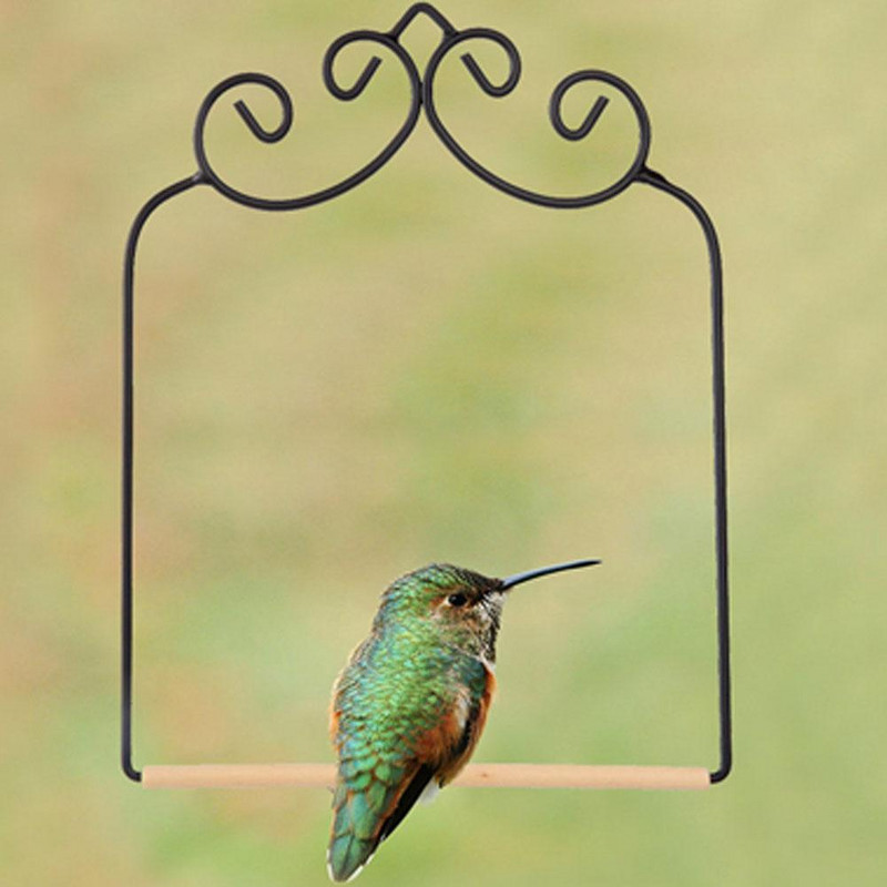 Κολίμπρι Standing Swing Μεταλλικό σκελετό με ξύλινο πείρο Διακόσμηση αυλής Τέχνη κήπου για κούρνιασμα