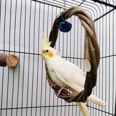 Inel de papagal Leagăn de pasăre Crengă de măr Inel împletit Suport de păsări Inel de ratan Jucărie de mușcătură Cușcă de păsări