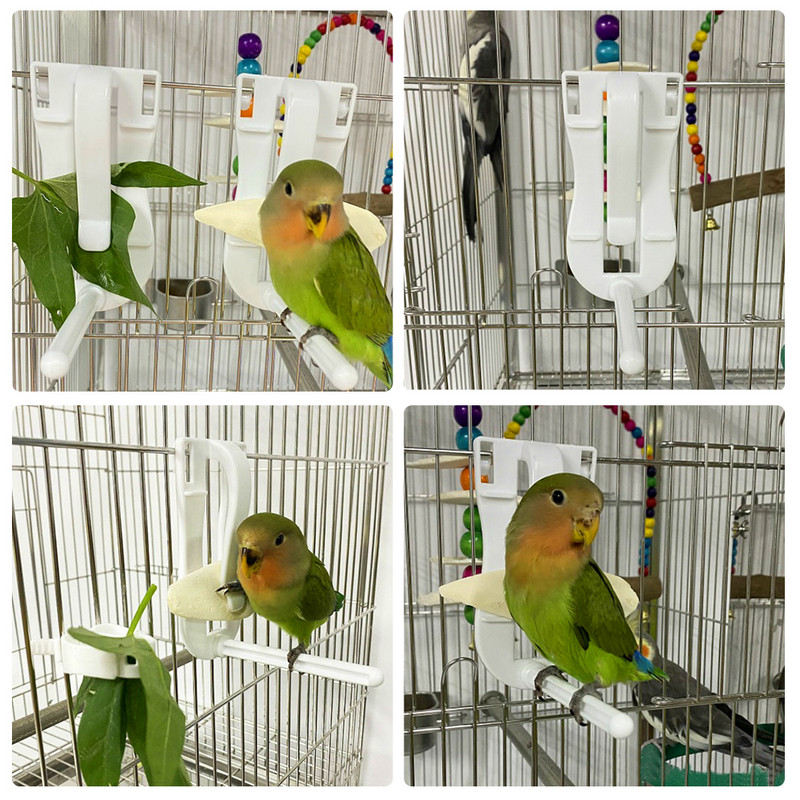 Plastikust lindude toiduhoidik Lemmiklooma papagoi toitmine puuviljade juurviljade klambriga seepia luude söötmisseade tihvt klamber linnupuuri tarvikud