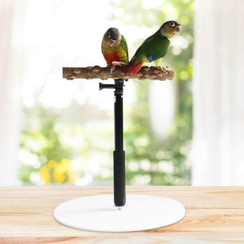 Parrot Desktop Stand Ρυθμιζόμενο Playstand για Bird Wood Parrot Play Stand Cockatiel Παιδική χαρά με αναδιπλούμενο σχέδιο Playstand