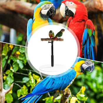 Parrot Desktop Stand Ρυθμιζόμενο Playstand για Bird Wood Parrot Play Stand Cockatiel Παιδική χαρά με αναδιπλούμενο σχέδιο Playstand