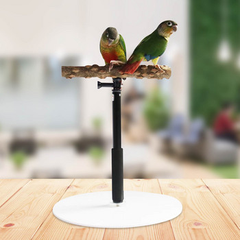 Parrot Desktop Stand Ρυθμιζόμενο Playstand για Bird Wood Parrot Play Stand Cockatiel Παιδική χαρά με αναδιπλούμενο σχέδιο Playstand