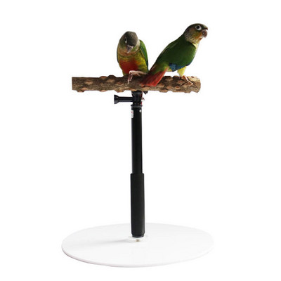 Parrot Desktop Stand Ρυθμιζόμενο Playstand για Bird Wood Parrot Play Stand Cockatiel Παιδική χαρά με αναδιπλούμενο σχέδιο Playstand
