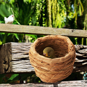 Гнездо за птици Гнездо за размножаване на папагал Градина Къщичка за птици Кутия за гнездене Кутия за развъждане на папагали Декоративни клетки Аксесоари за домашни любимци