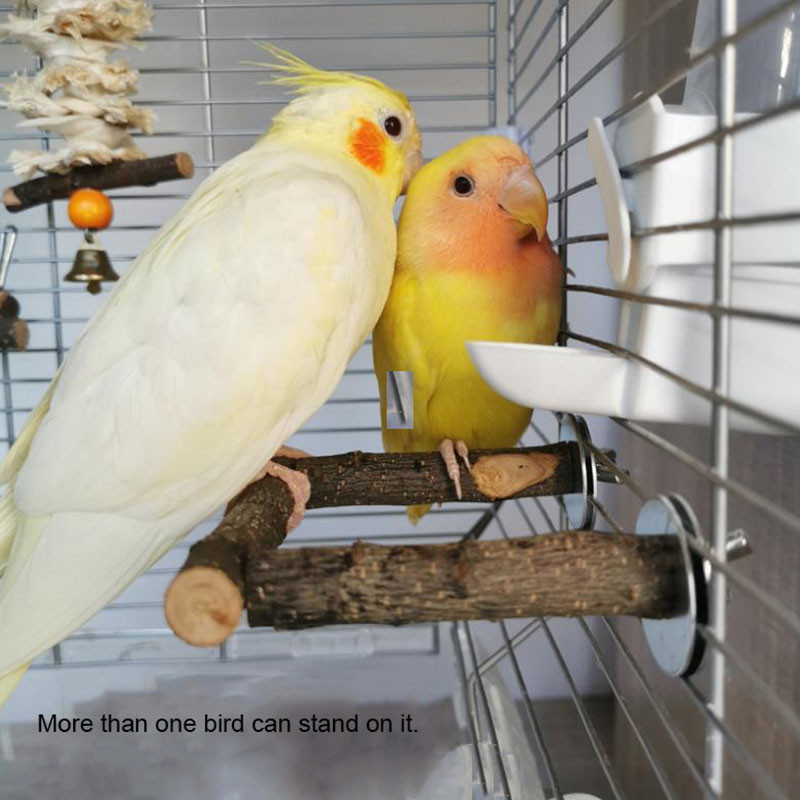 Φυσικό ξύλο κατοικίδιο παπαγάλος Ακατέργαστο ξύλο πιρούνι Κλαδί δέντρου Βάση ράφι Σκίουρος Πουλί Κλαδί χάμστερ Πέρκες Μασώ μπουκιά παιχνίδια ραβδί