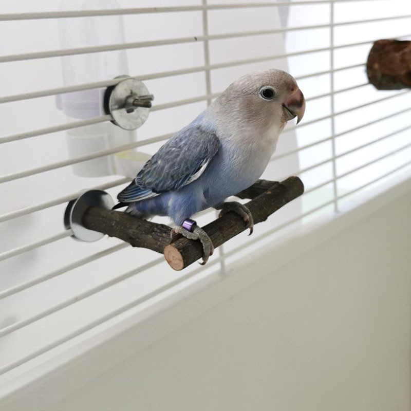 Φυσικό ξύλο κατοικίδιο παπαγάλος Ακατέργαστο ξύλο πιρούνι Κλαδί δέντρου Βάση ράφι Σκίουρος Πουλί Κλαδί χάμστερ Πέρκες Μασώ μπουκιά παιχνίδια ραβδί